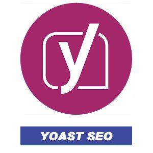 YOAST SEO BLUE 1
